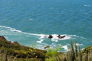 Point Reyes Hikes