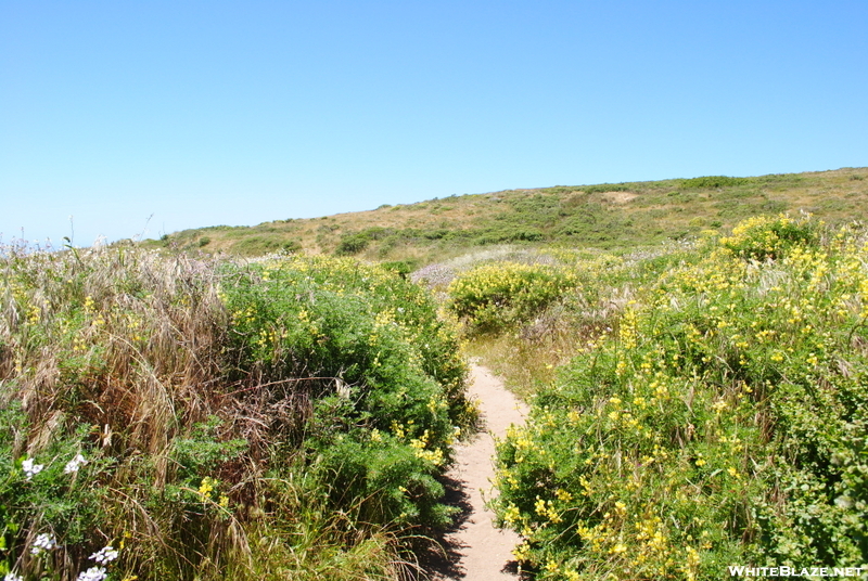 Point Reyes Hikes