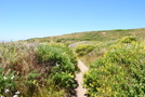 Point Reyes Hikes