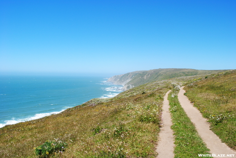 Point Reyes Hikes
