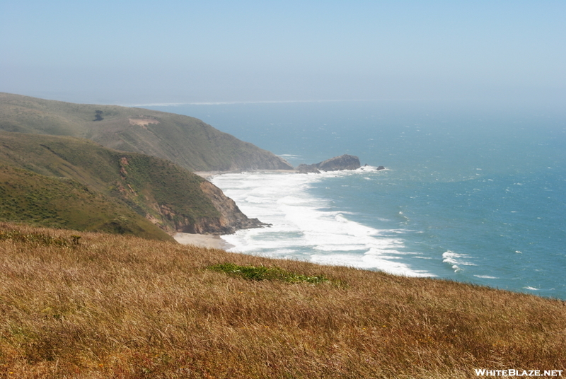 Point Reyes Hikes