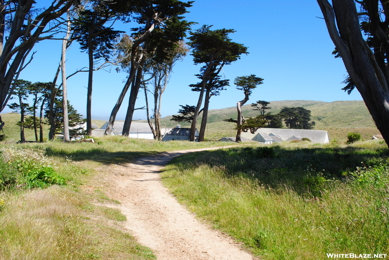 Point Reyes Hikes