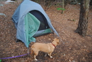 Camping On Tibbet Knob