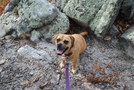 Camping On Tibbet Knob by Bucherm in Other Trails