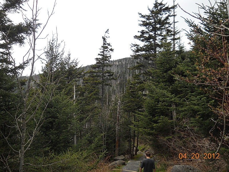 Clingman's Dome Bypass