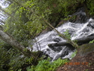 Section In Ga by hailstones in Section Hikers