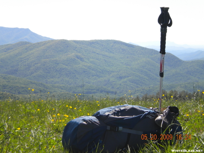 Max Patch 2009