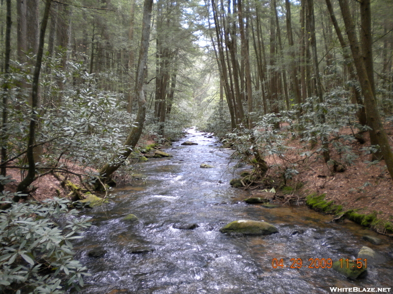 May 2009 Hike