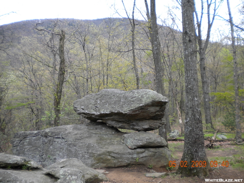 May 2009 Hike