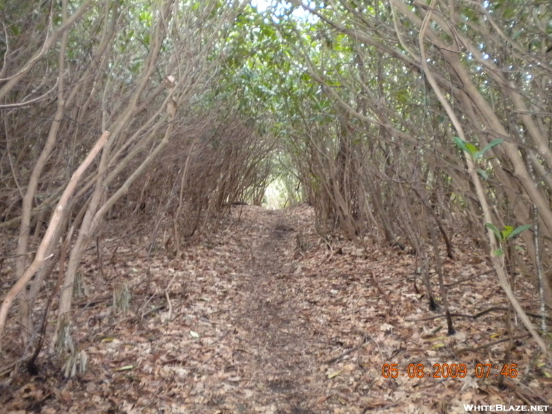 May 2009 Hike