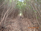 May 2009 Hike by hailstones in Members gallery