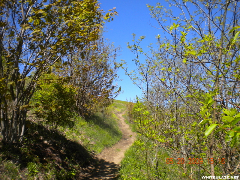 May 2009 Hike