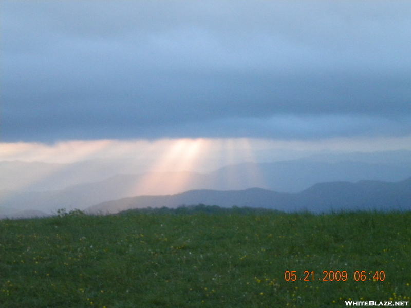 Max Patch