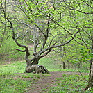 southern section by hailstones in Section Hikers