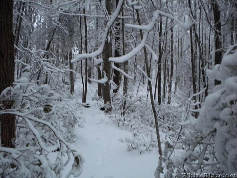 Snowy Trail in Georgia