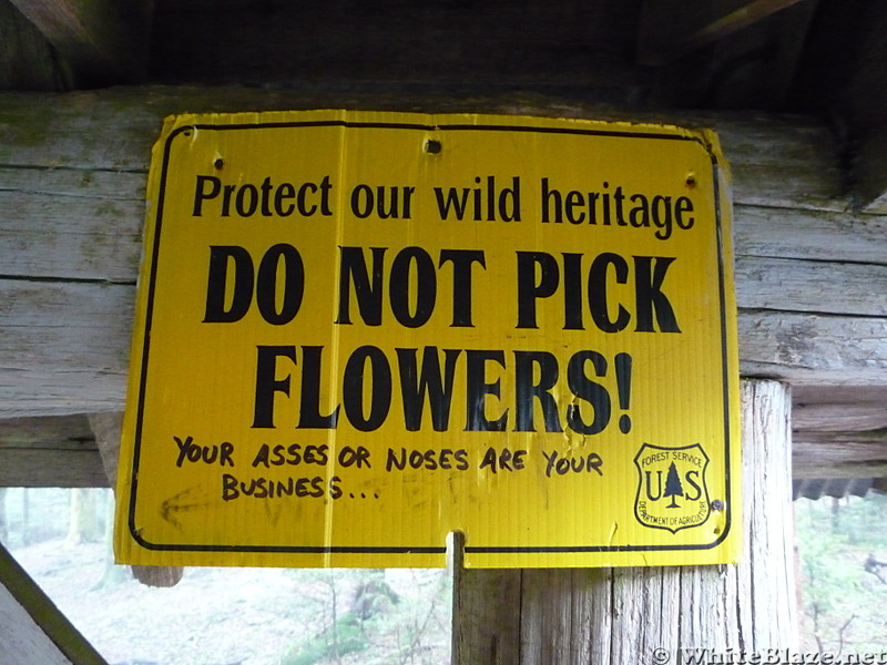 Roan Mt. Shelter sign