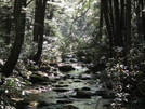 2010 Appalachain Trail by Westcork in Section Hikers