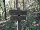 2010 Appalachain Trail by Westcork in Section Hikers