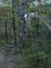 2010 Appalachain Trail