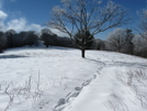 Snow Pics by The Cleaner in Views in North Carolina & Tennessee