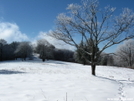 Snow Pics by The Cleaner in Views in North Carolina & Tennessee