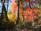 Fall Pics by The Cleaner in Views in North Carolina & Tennessee