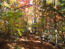 Fall Pics by The Cleaner in Views in North Carolina & Tennessee