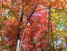 Fall Pics by The Cleaner in Views in North Carolina & Tennessee