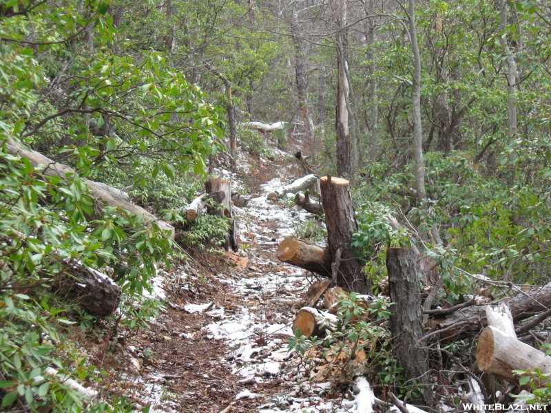 Trail Work