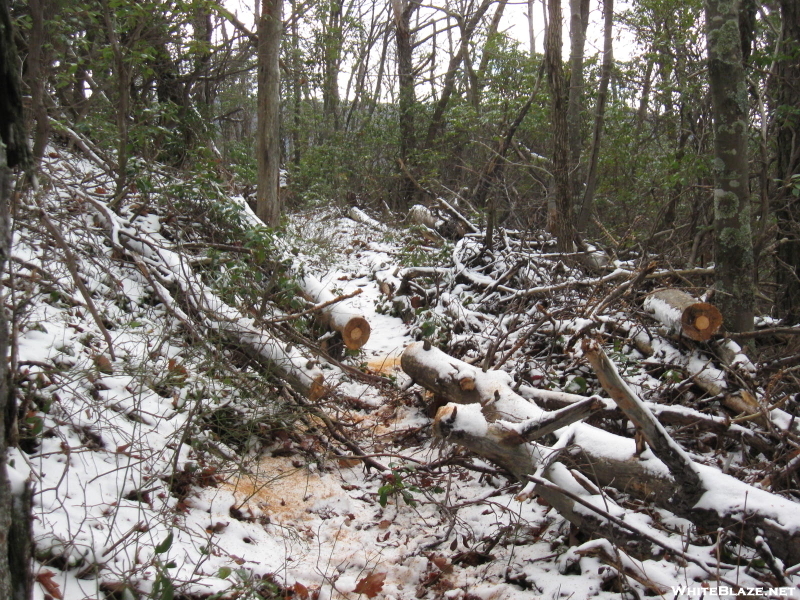 Trail Work