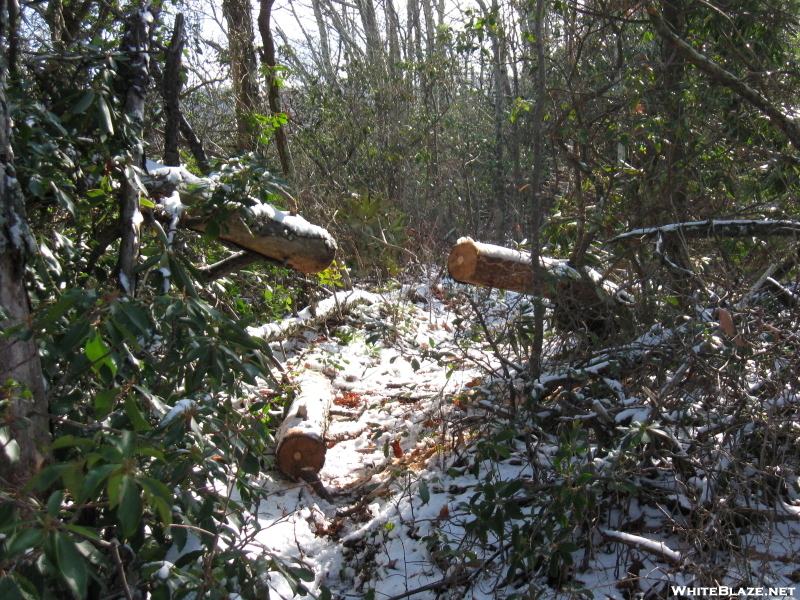 Trail Work