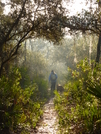 Florida Trail - Ocala National Forest