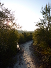 Florida Trail - Ocala National Forest