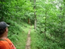 Bear pic through Shenandoah National Park