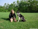 Loft Mountain Campground in Shenandoah National Park by Aesop in Thru - Hikers