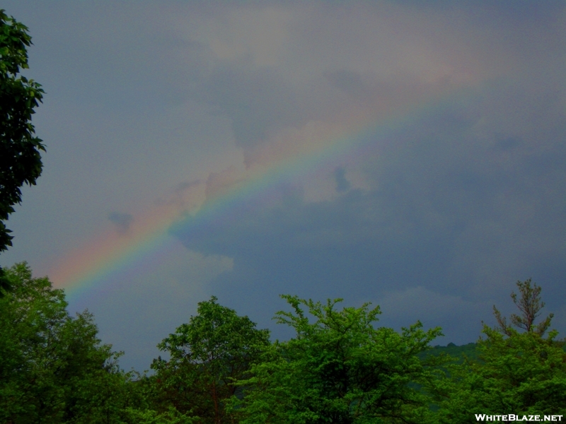 Rainbow In Virginia
