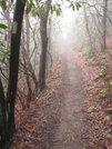 Dreaded Fog Of 09' by Ramble~On in Trail & Blazes in North Carolina & Tennessee