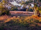 Idyllic Campsite by Ramble~On in Other Trails