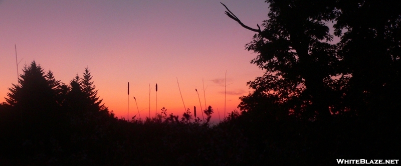 Sunrise Silhoutte