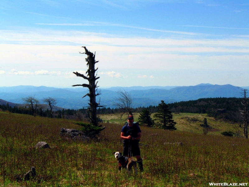 Virginia High Country