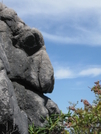 Face in Stone by Ramble~On in Views in Virginia & West Virginia