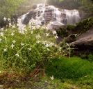 North Carolina Waterfall by Ramble~On in Other