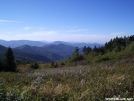 Shining Rock Wilderness by Ramble~On in Views in North Carolina & Tennessee