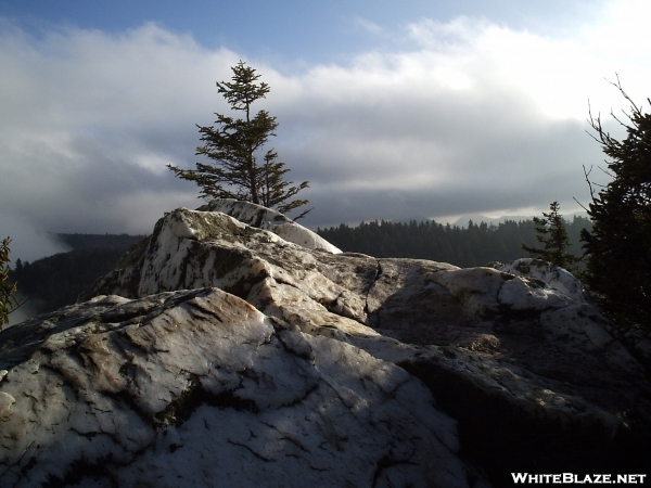 Shining Rock Wilderness