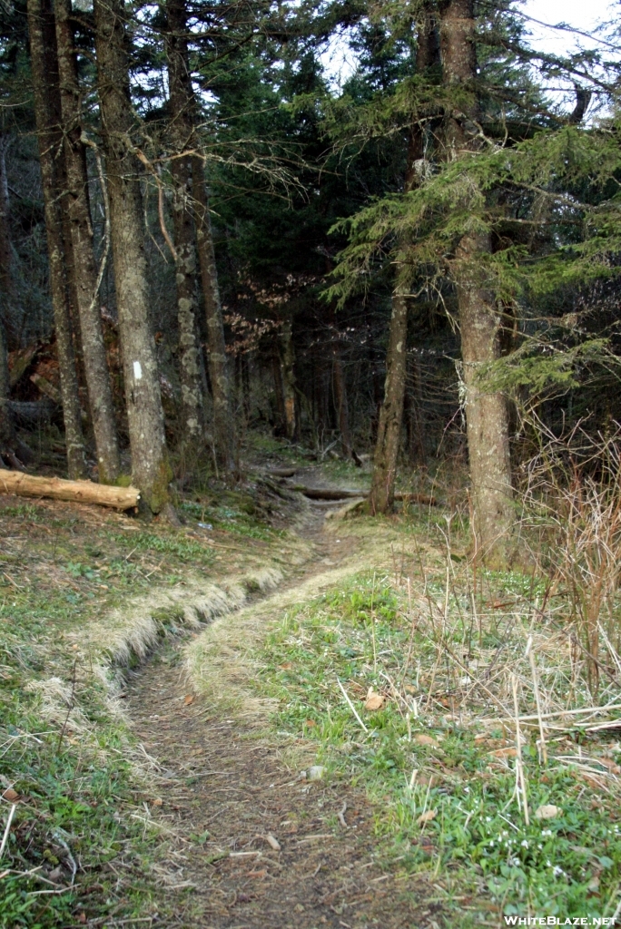 AT to Clingmans Dome