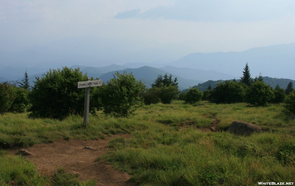 Andrew's Bald - GSMNP