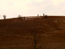 Whigg Meadow by Ramble~On in Benton MacKaye Trail