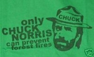 Only Chuck Norris !