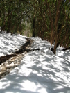 Snow covered trail in Smokies by Ramble~On in Trail & Blazes in North Carolina & Tennessee