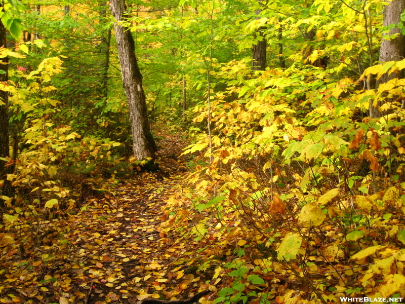 Fall scene in Maine